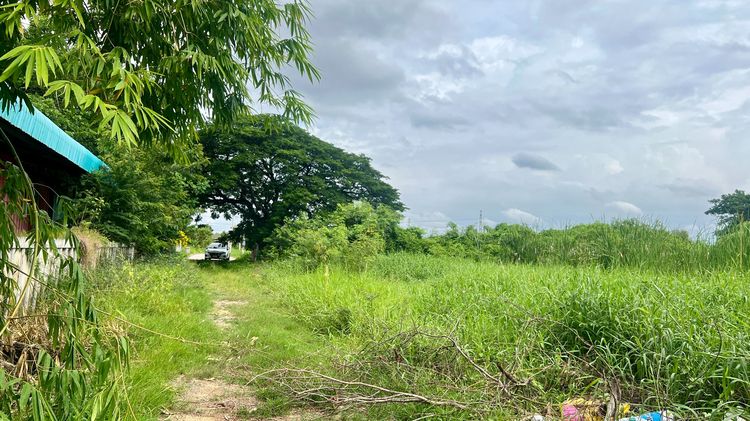 ขายที่ดิน เนื้อที่ 2-0-16 ไร่ หมู่บ้านร่มฟ้า ตำบลสนามจันทร์ อำเภอเมืองนครปฐม (LB73 – 001165)