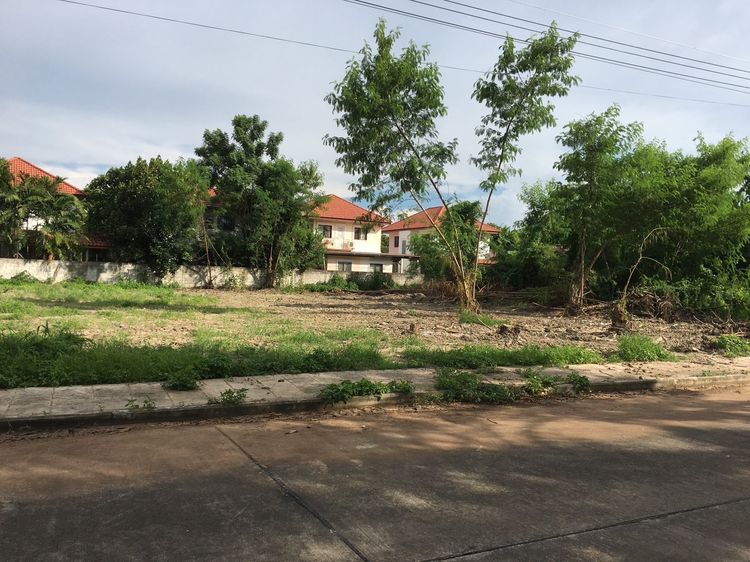 ขายที่ดิน 108 ตร.ว. 📍 ม.เชียงใหม่วิวดอย (หนองควาย - หางดง) รูปที่ 4