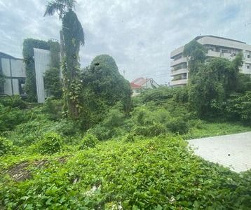 ขายที่ดินพร้อมบ้านเก่า ใจกลางสุขุมวิท 65 - เอกมัย 1 ไร่ รูปที่ 4