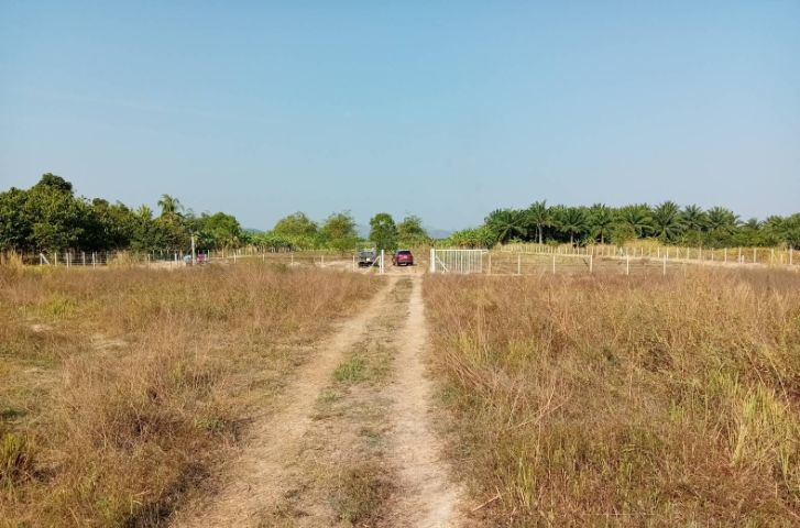 ไม่ใช่ ทีดินชะอำ  รูปที่ 4