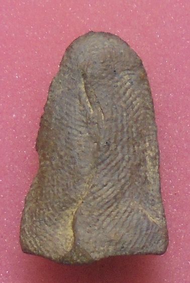 พระรอด เนื้อดิน ไม่ทราบที่ รูปที่ 2