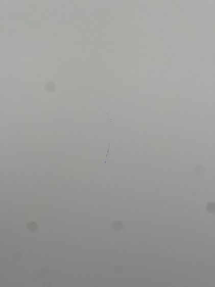 iphone 13promax 256gb ศูนย์ไทย มีตำหนิอ่านก่อน รูปที่ 12