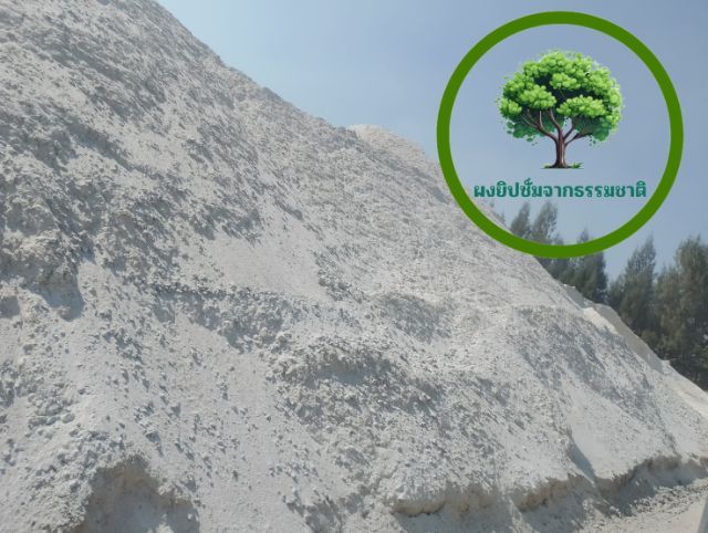 สารปรับปรุงดิน รูปที่ 2