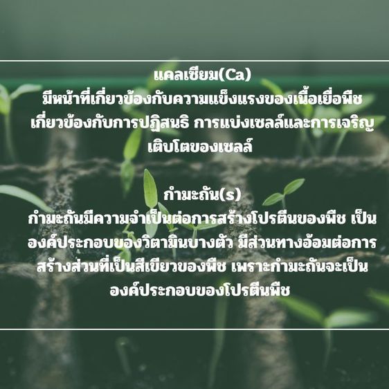 สารปรับปรุงดิน รูปที่ 4