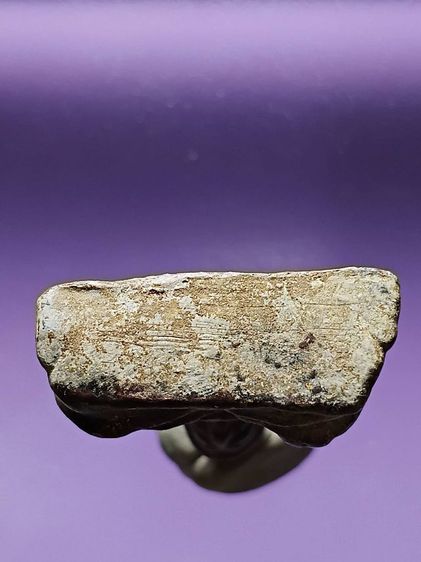 พระท่ากระดาน ขุดพบได้ที่กรุวัดเทวสังฆราม จ.กาญจนบุรี สภาพสวยมาก ผิวเดิมจากกรุ ไม่ผ่านการเช็ดล้าง เกศยาวสวยสมบูรณ์มาก ไม่หักไม่ซ่อม น่าใช้มาก รูปที่ 8