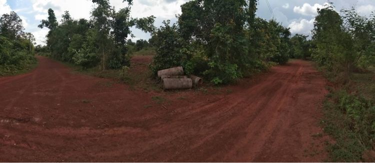 ใช่ ขายที่ดิน ใกล้ ม.เกษตร  ท่าแร่   รูปที่ 4