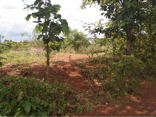 ขายที่ดิน ใกล้ ม.เกษตร  ท่าแร่  