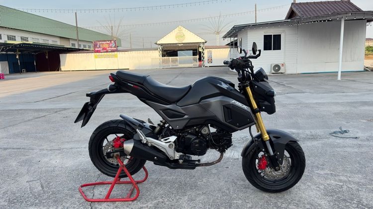 Msx125sf สด-ผ่อน