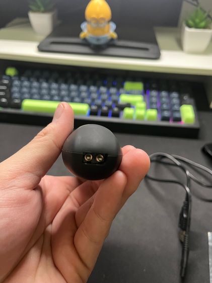 KAI GROOMING รูปที่ 4