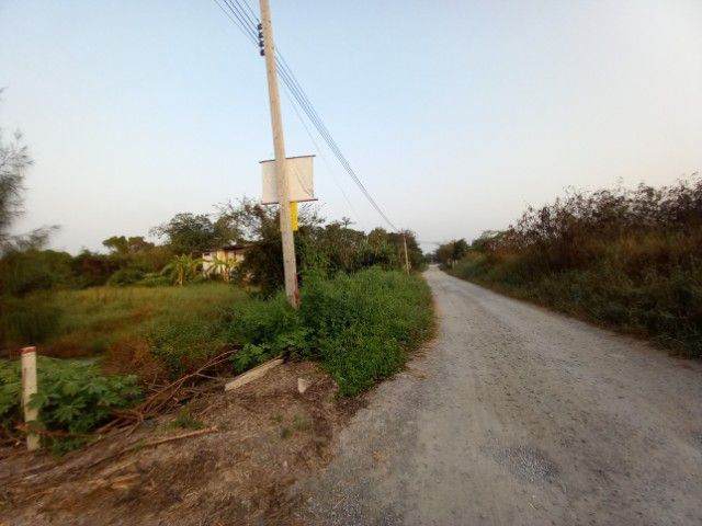 ขายที่ 175 ตรว.ถนนเคหะ - บ้านใหม่ ซ.27 (เข้าซอย ประมาณ 50 ม.) อ.บางใหญ่ นนทบรี ราคา 1.65 - 1.74 ลบ. สนใจโทร. 092 - 9269492 , 081 - 2348835 รูปที่ 2