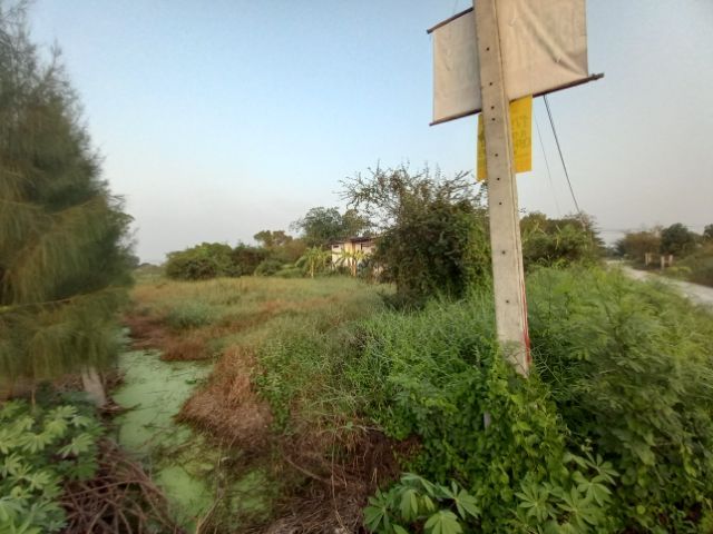 ขายที่ 175 ตรว.ถนนเคหะ - บ้านใหม่ ซ.27 (เข้าซอย ประมาณ 50 ม.) อ.บางใหญ่ นนทบรี ราคา 1.65 - 1.74 ลบ. สนใจโทร. 092 - 9269492 , 081 - 2348835 รูปที่ 3