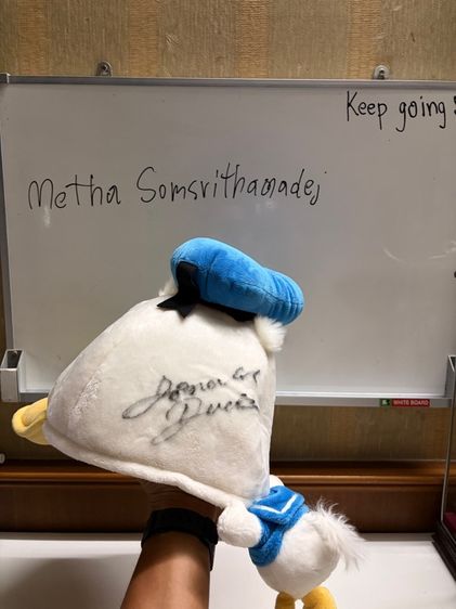 หมวกโดนัลด์ดั๊กส์ รูปที่ 2