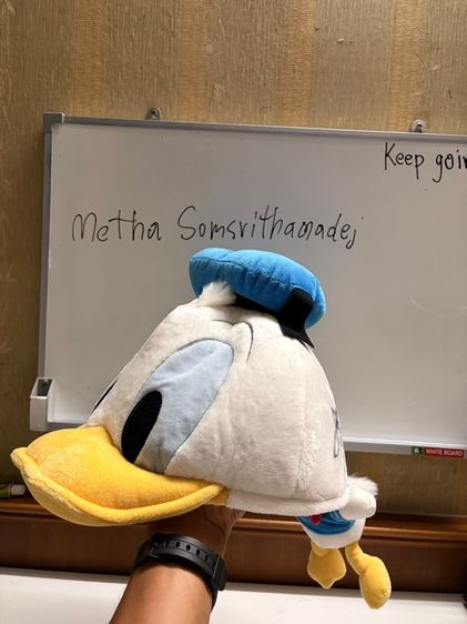 หมวกและหมวกแก๊ป หมวกโดนัลด์ดั๊กส์