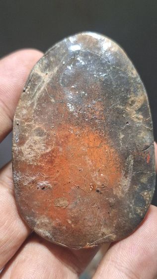 ลิงลมหลวงตาอยู่วัดสามควายเผือก รูปที่ 5