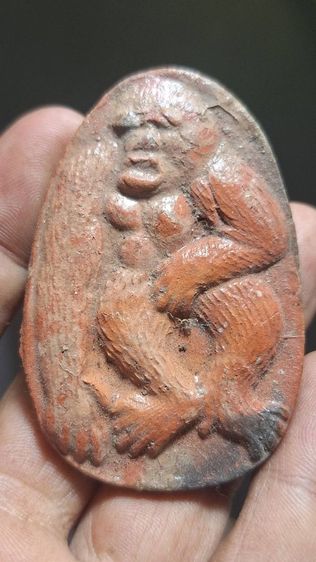 ลิงลมหลวงตาอยู่วัดสามควายเผือก รูปที่ 2