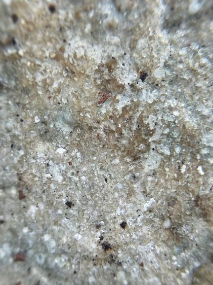 พระสมเด็จพิมพ์ใหญ่เกศทะลุซุ้ม รูปที่ 14