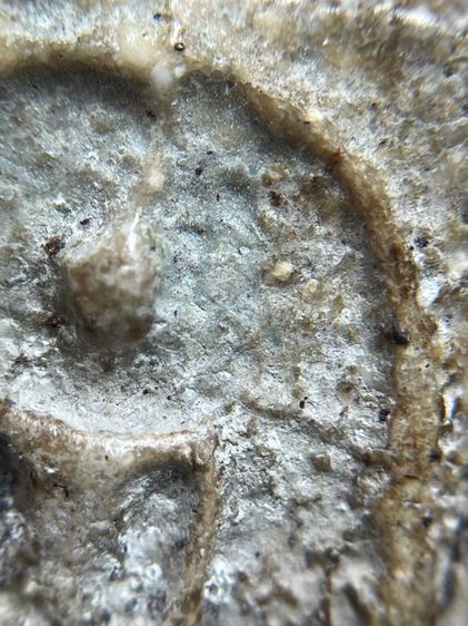 พระสมเด็จพิมพ์ใหญ่เกศทะลุซุ้ม รูปที่ 11