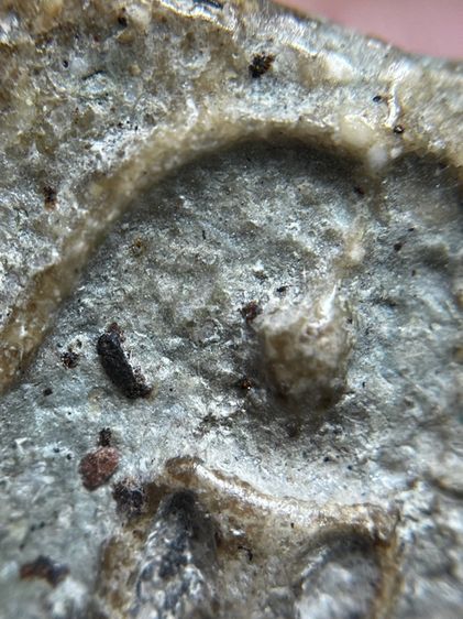 พระสมเด็จพิมพ์ใหญ่เกศทะลุซุ้ม รูปที่ 8