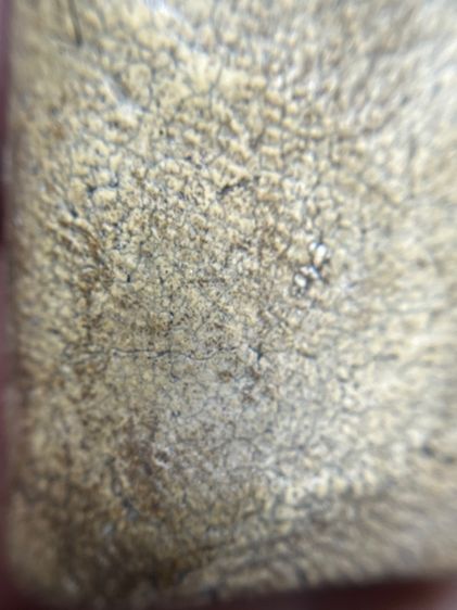 พระคงกรุเก่าเขียวคราบเหลือง รูปที่ 9