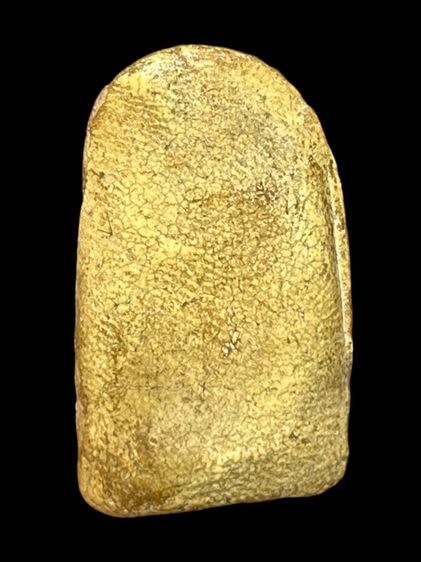 พระคงกรุเก่าเขียวคราบเหลือง รูปที่ 2