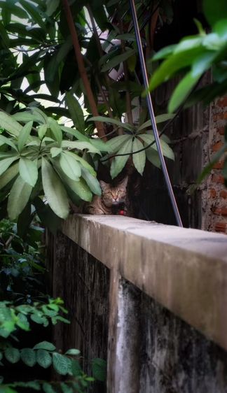 BODY กล้องfujiflim xt-10 รูปที่ 7