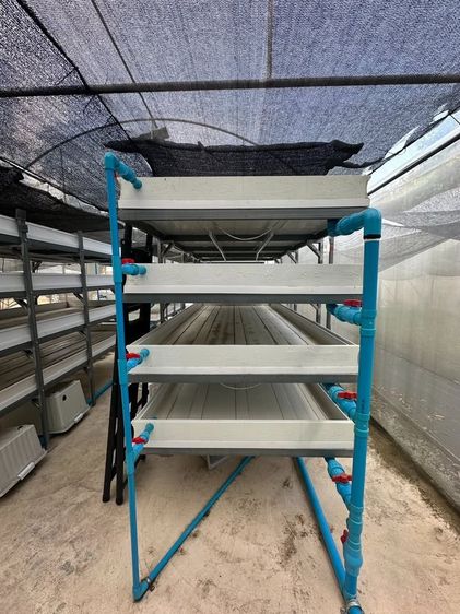 ขาย ชุดฟาร์ม รางเลี้ยงไข่ผำแบบคอนโด วัสดุ UPVC อย่างดี รูปที่ 6