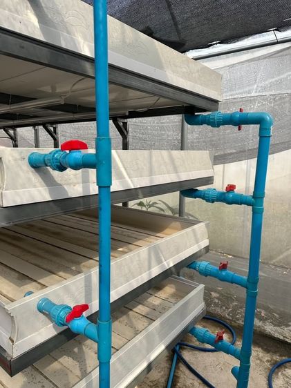 ขาย ชุดฟาร์ม รางเลี้ยงไข่ผำแบบคอนโด วัสดุ UPVC อย่างดี รูปที่ 5