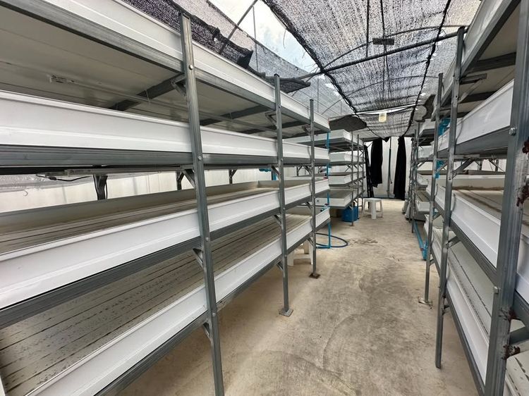 ขาย ชุดฟาร์ม รางเลี้ยงไข่ผำแบบคอนโด วัสดุ UPVC อย่างดี รูปที่ 2