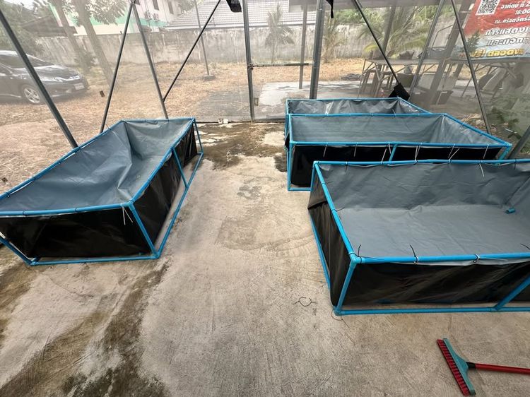 ขาย ชุดฟาร์ม รางเลี้ยงไข่ผำแบบคอนโด วัสดุ UPVC อย่างดี รูปที่ 9