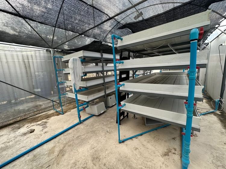 ขาย ชุดฟาร์ม รางเลี้ยงไข่ผำแบบคอนโด วัสดุ UPVC อย่างดี รูปที่ 4