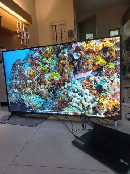 Smart Tv LG 55 นิ้ว