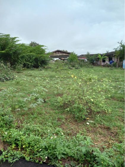 ไม่ใช่ ขายด่วน ที่ดินแปลงสวย 1 ไร่เศษ บรรยากาศดี ราคาเพียง 1.59 ล้าน (ลำปาง) รูปที่ 2