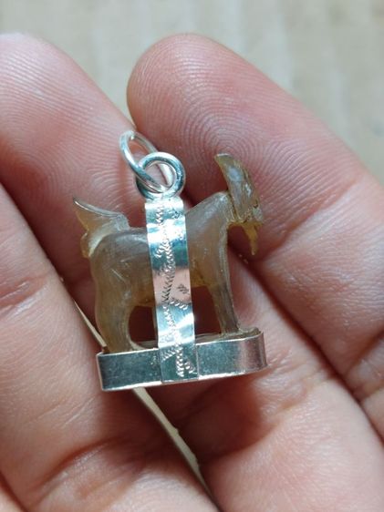 เครื่องรางแพะเขาควายเผือกหลวงพ่ออ่ำเลี่ยมเงินแท้ รูปที่ 6