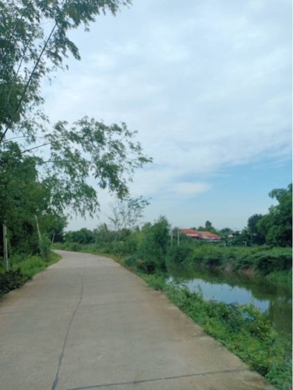 ไม่ใช่ ที่ดินหนองแค สระบุรี ติดถนนพหลโยธิน 4ไร่ รูปที่ 4