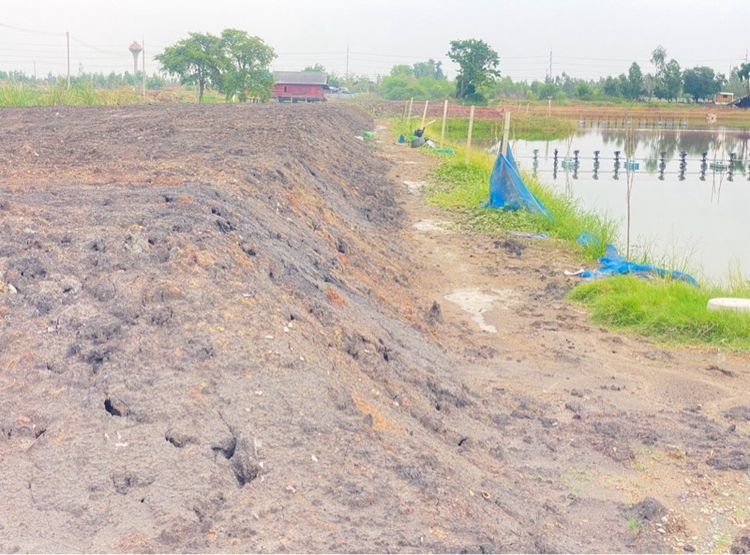 ไม่ใช่ ที่ดินริมแม่นำ้ท่าจีน นครปฐม รูปที่ 2