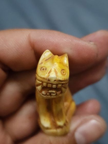 เสือหลวงพ่อปาน พิมพ์อ้าปากตัวผู้ ตัวใหญ่สง่า รูปที่ 5