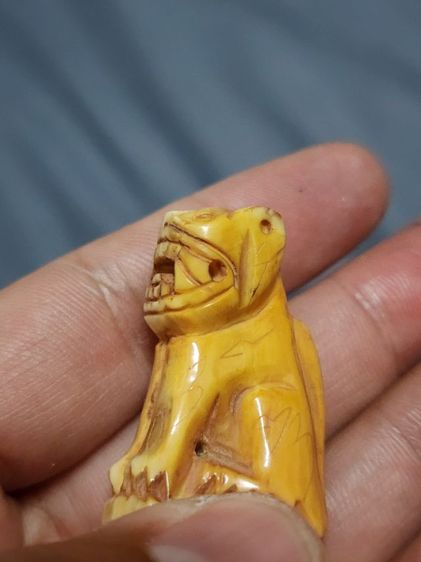 เสือหลวงพ่อปาน พิมพ์อ้าปากตัวผู้ ตัวใหญ่สง่า รูปที่ 4