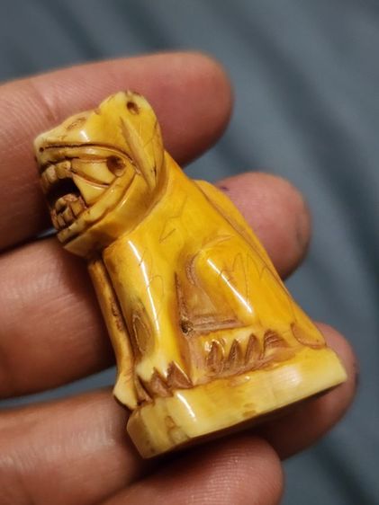 เสือหลวงพ่อปาน พิมพ์อ้าปากตัวผู้ ตัวใหญ่สง่า รูปที่ 17