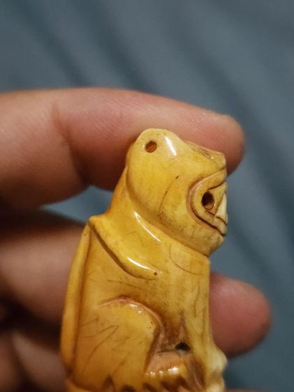 เสือหลวงพ่อปาน พิมพ์อ้าปากตัวผู้ ตัวใหญ่สง่า รูปที่ 10