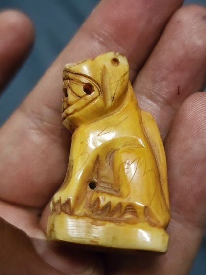 เสือหลวงพ่อปาน พิมพ์อ้าปากตัวผู้ ตัวใหญ่สง่า รูปที่ 12