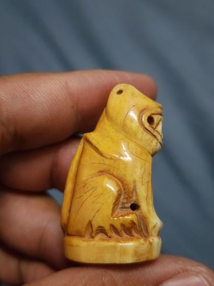 เสือหลวงพ่อปาน พิมพ์อ้าปากตัวผู้ ตัวใหญ่สง่า รูปที่ 7