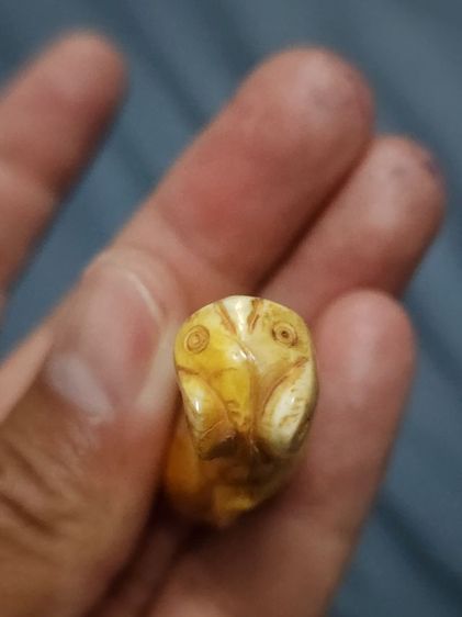 เสือหลวงพ่อปาน พิมพ์อ้าปากตัวผู้ ตัวใหญ่สง่า รูปที่ 14