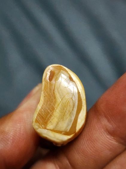 เสือหลวงพ่อปาน พิมพ์อ้าปากตัวผู้ ตัวใหญ่สง่า รูปที่ 15