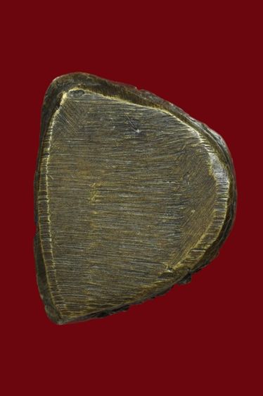 หลวงพ่อทบวัดชนแดน รูปที่ 3