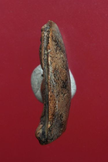 พระซุ้มกอสวยๆค่ะเก่าค่ะ รูปที่ 4