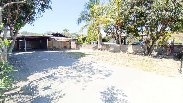 ⭐ที่ดินสวยสันกำแพง 100 ตร.ว.
890,000 บ.
รูปที่ 2