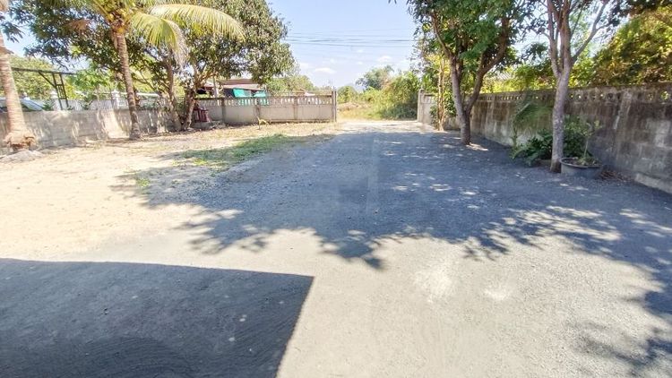 ⭐ที่ดินสวยสันกำแพง 100 ตร.ว.
890,000 บ.
รูปที่ 3