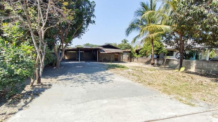 ⭐ที่ดินสวยสันกำแพง 100 ตร.ว.
890,000 บ.
