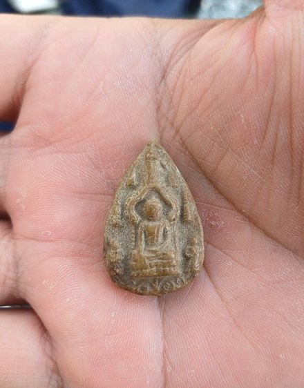 สามหอม หลังพ่อแก่