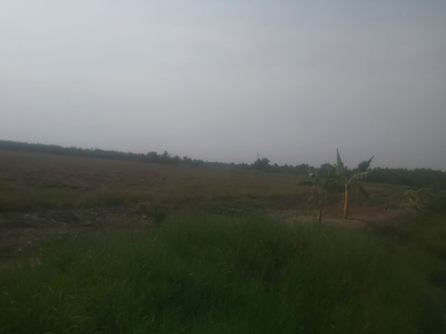 ใช่ ขายที่ดิน 15 ไร่ ฉะเชิงเทรา บางน้ำเปรี้ยว เหมาะทำ สวนเกษตร ซื้อไว้เก็งกำไร รูปที่ 4